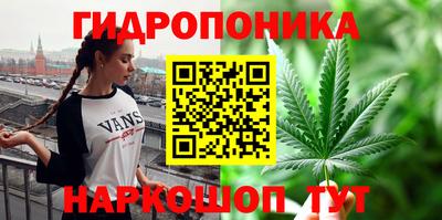 spice Севастополь