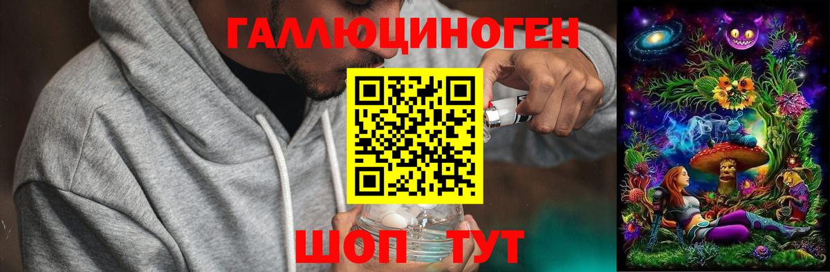 Галлюциногенные грибы Psilocybe Пыть-Ях